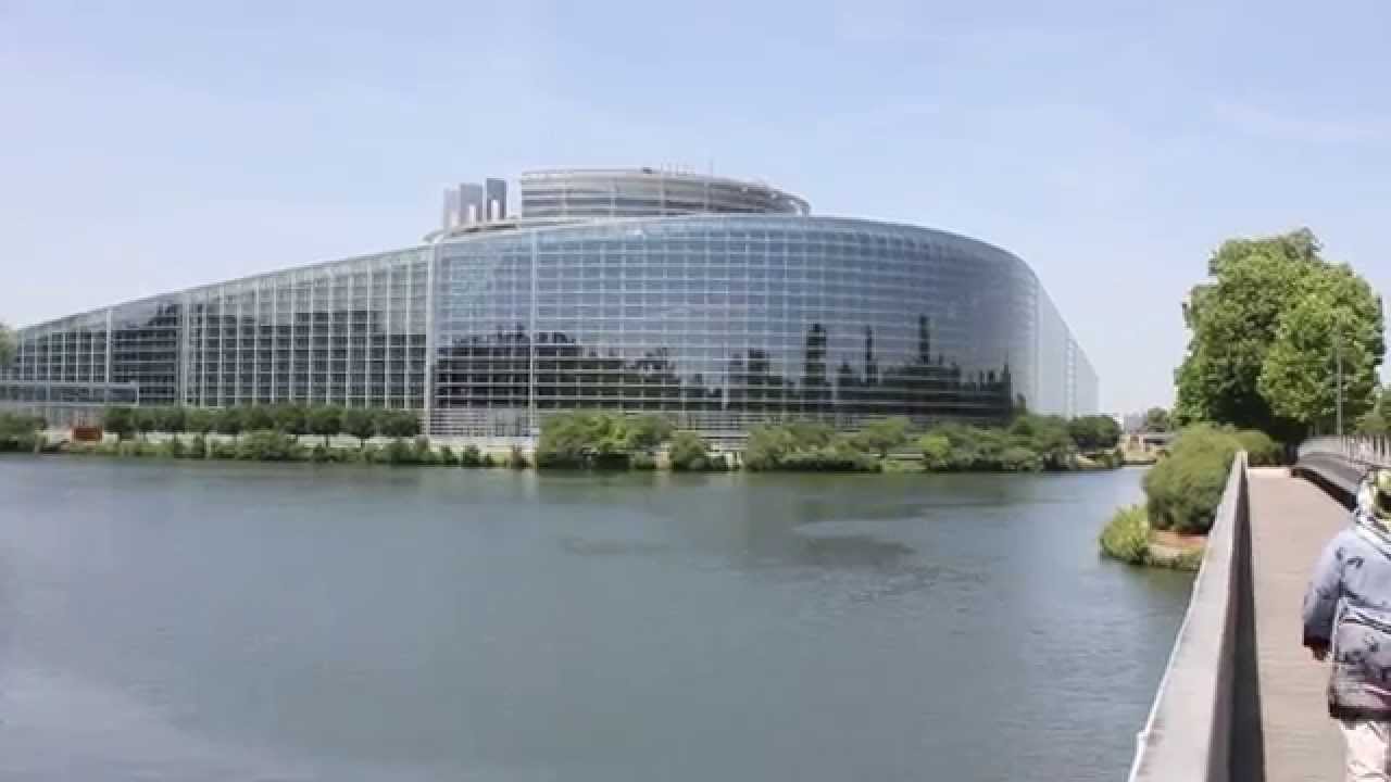 EP and ECtHR