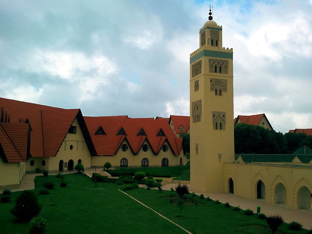 Islam in the Law: Sharia, Secularism, and Society in the Euro-Mediterranean Region