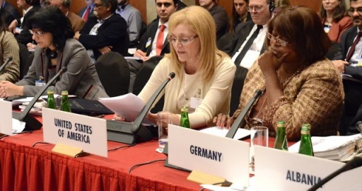 US Representatives at Human Dimension Implementation Meeting in Warsaw