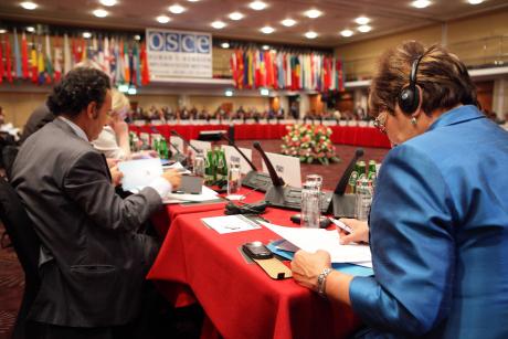 OSCE Human Dimension Implementation Meeting in Warsaw, Sept - Oct 2011