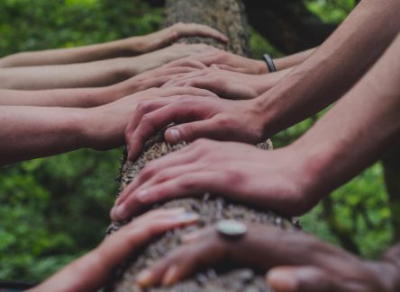 shane-rounce-DNkoNXQti3c-unsplash-444x325