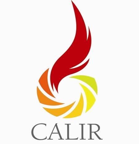 Isologotipocalir