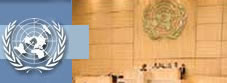 UN Human Rights Council Concludes its Fourteenth Session