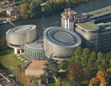 What Is the Strasbourg Consortium?