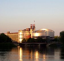 European Court of Human Rights Issues Decision in Lang v. Austria